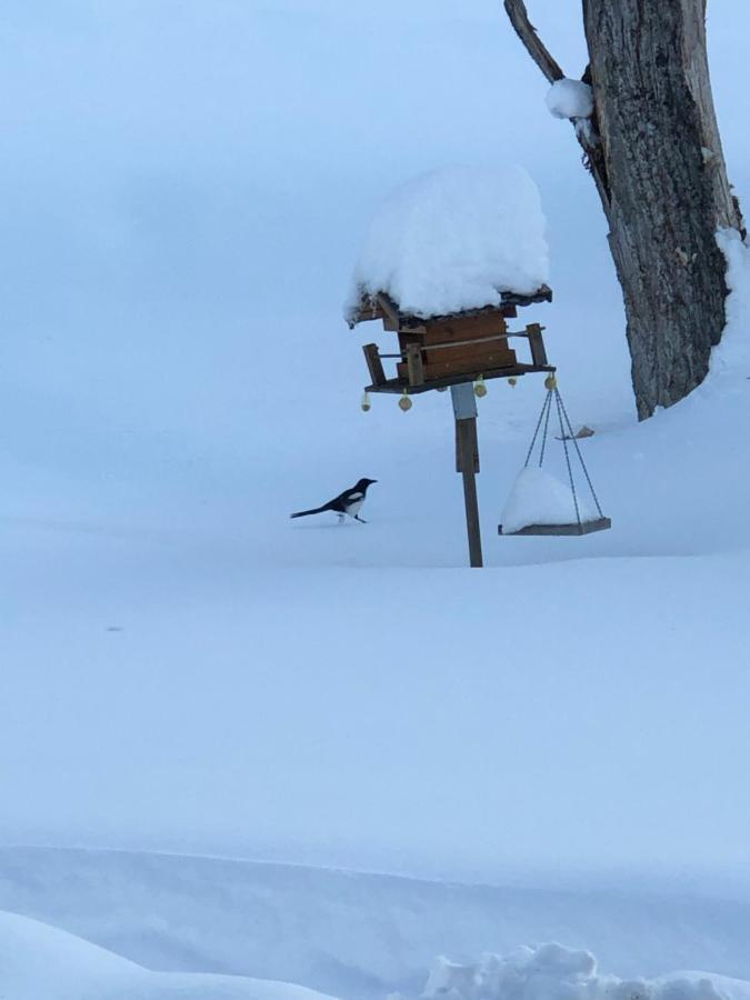 Magnifique Maison Pres Du Centre Nendaz Exteriör bild